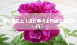 通过手机上（通过手机上网能锁定位置吗）