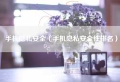 手机隐私安全（手机隐私安全性排名）