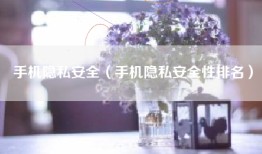 手机隐私安全（手机隐私安全性排名）