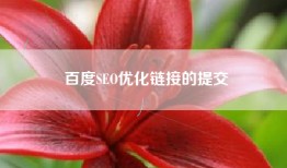 百度SEO优化链接的提交