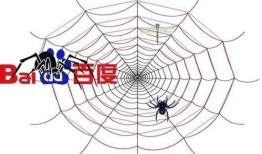 百度蜘蛛池引流：蜘蛛池的利与弊，揭秘蜘蛛池对网络生态的影响