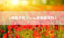 lg曲面手机（lgwing是曲面屏吗）