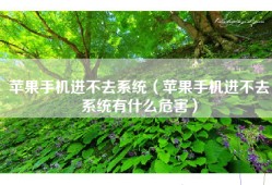 苹果手机进不去系统（苹果手机进不去系统有什么危害）
