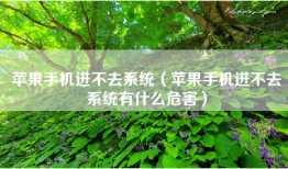 苹果手机进不去系统（苹果手机进不去系统有什么危害）
