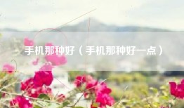 手机那种好（手机那种好一点）