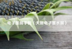 电子墨屏手机（大屏电子墨水屏）