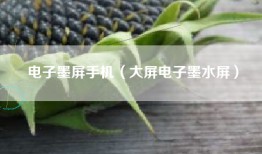 电子墨屏手机（大屏电子墨水屏）