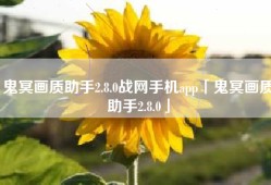 鬼冥画质助手2.8.0战网手机app「鬼冥画质助手2.8.0」