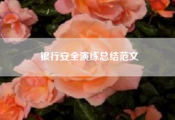 银行安全演练总结范文
