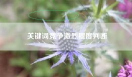 关键词竞争激烈程度判断