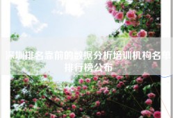 深圳排名靠前的数据分析培训机构名单排行榜公布