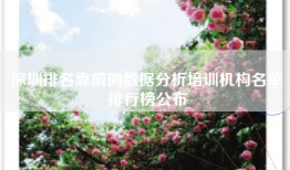 深圳排名靠前的数据分析培训机构名单排行榜公布