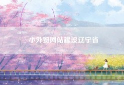 小外贸网站建设辽宁省