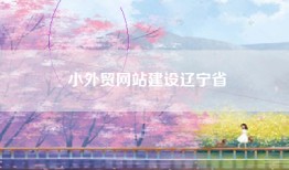 小外贸网站建设辽宁省