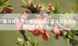 蓝牙耳机怎么连接手机（蓝牙耳机怎么连接手机配对vivo）
