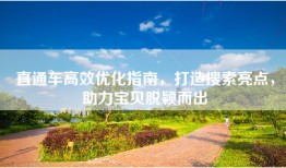 直通车高效优化指南，打造搜索亮点，助力宝贝脱颖而出