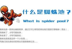 百度蜘蛛池效果：搜狗收录蜘蛛池留痕，揭秘搜索引擎优化背后的秘密
