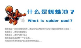 百度蜘蛛池效果：搜狗收录蜘蛛池留痕，揭秘搜索引擎优化背后的秘密