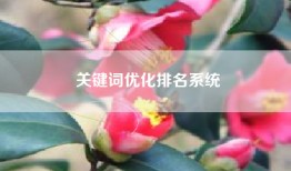 关键词优化排名系统