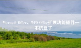 Microsoft Office、WPS Office扩展功能插件——不坑盒子