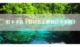 打卡手机（钉钉怎么更换打卡手机）