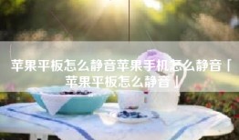 苹果平板怎么静音苹果手机怎么静音「苹果平板怎么静音」