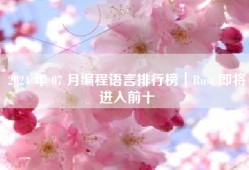 2024 年 07 月编程语言排行榜｜Rust 即将进入前十