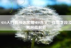 SEO入门教程之黑帽SEO含义：作弊手段及其风险解析