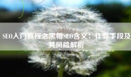 SEO入门教程之黑帽SEO含义：作弊手段及其风险解析