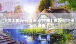 华为手机没有铃声（华为手机没有铃声怎么设置）