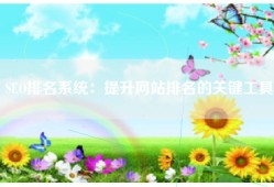 SEO排名系统：提升网站排名的关键工具