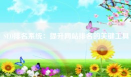 SEO排名系统：提升网站排名的关键工具