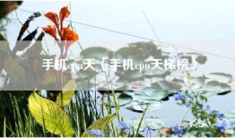 手机cpu天（手机cpu天梯榜）