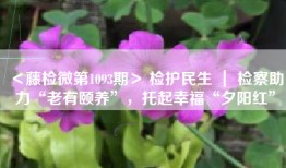 ＜藤检微第1093期＞ 检护民生 ｜ 检察助力“老有颐养”，托起幸福“夕阳红”