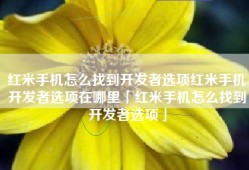 红米手机怎么找到开发者选项红米手机开发者选项在哪里「红米手机怎么找到开发者选项」