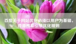 百度关于网站优化必须以用户为基础，遵循搜索引擎优化规则