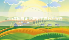 2024年国有企业政治生态分析报告