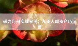 磁力方舟实战案例：丸美人群资产巧运营