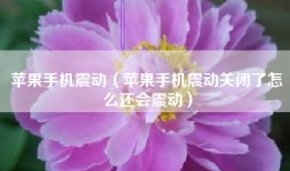 苹果手机震动（苹果手机震动关闭了怎么还会震动）