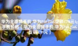 华为全面屏手机 华为P40 256G促销4799元4g手机价格「华为全面屏手机 华为P40 256G促销4799元」