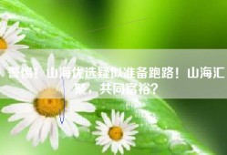 警惕！山海优选疑似准备跑路！山海汇聚，共同富裕？