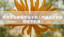 网易企业邮箱登陆手机（网易企业邮箱登陆手机端）