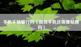 手机不贴膜行吗（现在手机还需要贴膜吗）