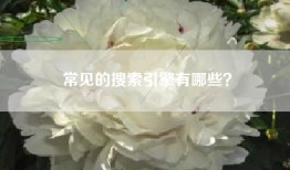 常见的搜索引擎有哪些？