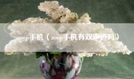 aoop手机（aoop手机有双声道吗）