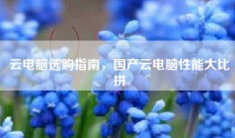 云电脑选购指南，国产云电脑性能大比拼