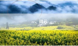 re、词云