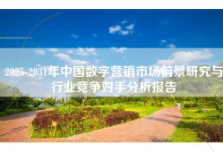 2025-2031年中国数字营销市场前景研究与行业竞争对手分析报告