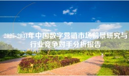 2025-2031年中国数字营销市场前景研究与行业竞争对手分析报告