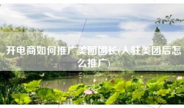 开电商如何推广美团团长(入驻美团后怎么推广)